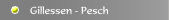 Gillessen - Pesch