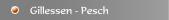 Gillessen - Pesch